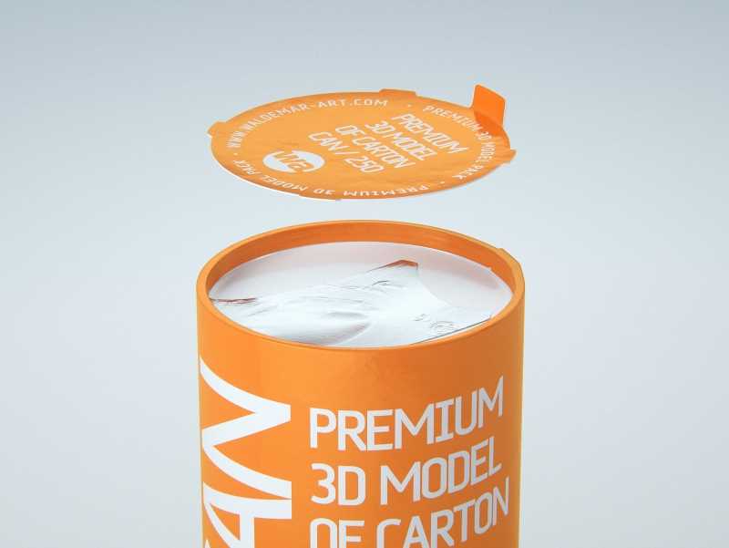 Packaging 3D model of carton can Cartocan 250ml