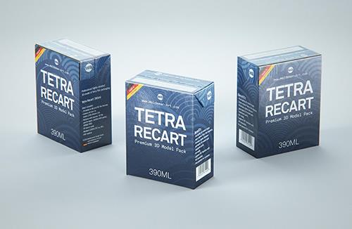 Corrugated Cardboard Box for x12 Tetra Prisma Square & Edge 500ml packaging 3d model pak