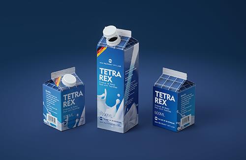 Packaging MockUp of Tetra Pack Evero Aseptic Base-D 1000ml with OrionTop-O38A Side View